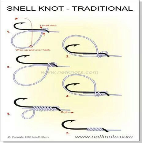 Snail knot Snell Knot, Saltwater Fishing Gear, Fly Fishing Knots, Fishing Hook Knots, Hook Knot, Bass Fishing Tips, Fishing Rigs, Fishing Hook, Fishing Techniques