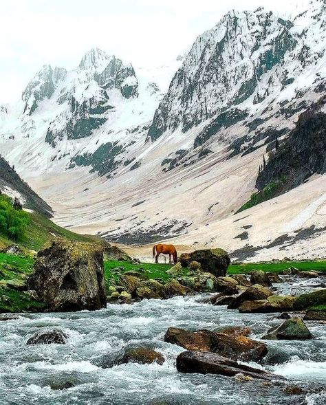 Beautiful Sonmarg ❤️ Nature, Sonmarg Kashmir Photography, Kashmir Itinerary, Kashmir Pics, Sonmarg Kashmir, Kashmir Winter, Aru Valley, Jaipur Tourism, Vintage Kashmir