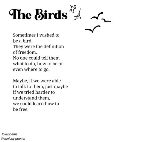 Poems, poetry, birds, freedom. 🪽 Poem About Birds, Poems About Freedom, Freedom Poetry, Freedom Poems, Birds Freedom, Freedom Definition, Bird Poems, Short Poems, Try Harder