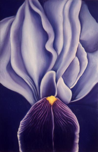 Georgia O Keefe Flower Paintings Alfred Stieglitz, Georgia O'keefe Art, Georgia O Keeffe Paintings, O Keeffe Paintings, Georgia O'keeffe, Georgia Okeefe, O Keefe, Georgia O Keeffe, O Keeffe