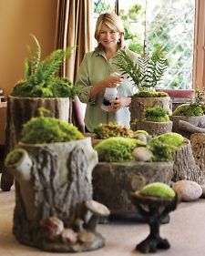 From Martha's Home to Yours: Moss Gardens - Martha Stewart Home & Garden Moss Gardens, Growing Moss, Garden Nook, Jardim Diy, Gubahan Bunga, نباتات منزلية, Moss Garden, Crushed Stone, Potting Soil