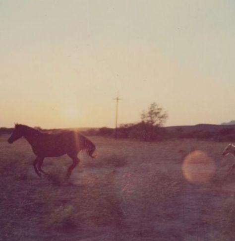 Just the most beautiful souls on earth Wild Horses, Horse Girl, Lana Del Rey, Cowgirl Aesthetic, Western Aesthetic, Vintage Americana, Into The Wild, Photography Inspo, Wild West