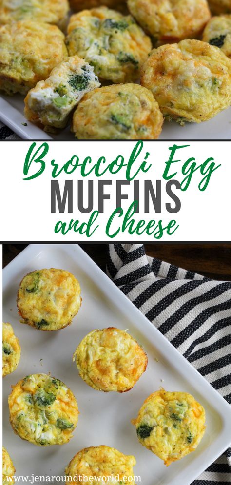 Broccoli Cheese Egg Cups, Broccoli And Cheese Egg Bites, Egg Cheese Broccoli Muffin, Breakfast Ideas Broccoli, Broccoli Egg Cups, Broccoli Muffins Healthy, Broccoli For Breakfast, Egg Broccoli Muffins, Brocolli Egg Bites