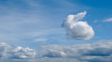 Clound angel bunny Storm Clouds, Fake Clouds, Bunny Cloud, Angel Bunny, Angel Clouds, Cloud Formations, Cloud Art, Cloud Shapes, Angel Pictures