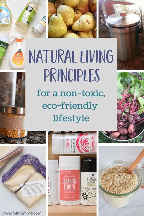 Learn the 3 basic principles of a natural, eco-friendly lifestyle - real food, non-toxic products, and eco-friendly choices. | #ecofriendly #natural #realfood #nontoxic Nature, Living Sustainably Tips, How To Live A Natural Lifestyle, Crunchy Lifestyle Natural Living, Organic Lunch Ideas, Crunchy Lifestyle, Live In Nature, Non Toxic Living, Living Naturally
