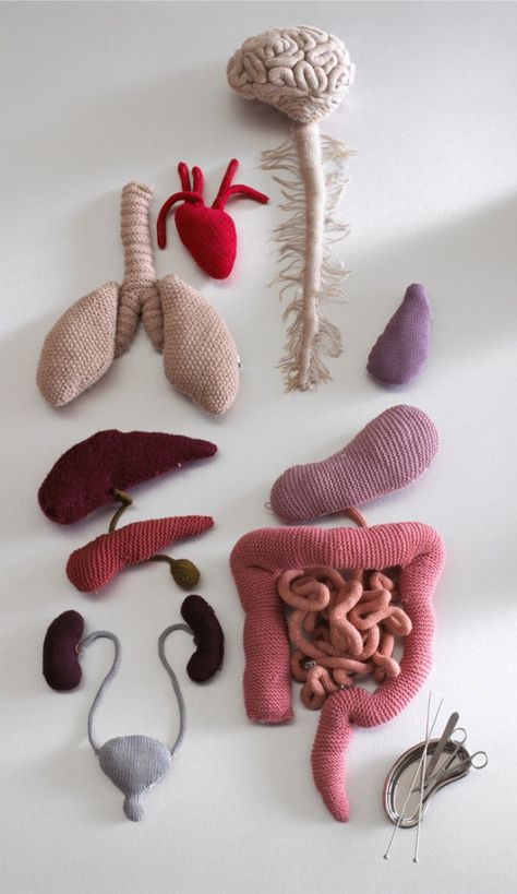 bodybox_carolinegates Carrie, Karen -you know what to do...  Would be SO cool in my class!!! Crochet, Human Body, Medical Items, Knitted Items, The Human Body, Medical, Human, White