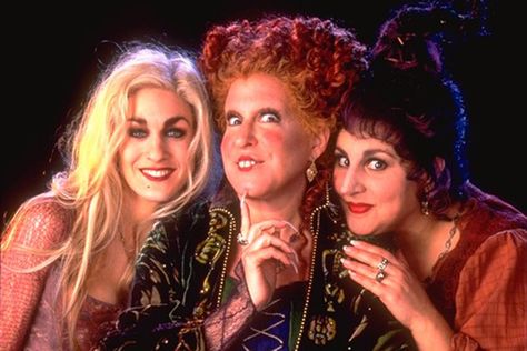 Here's Every Halloween Movie and TV Special Streaming on Disney via TV Guide Try a #NUmedia Trial. numediatvtrial.com #numediaglobal #numediatrial #tvshows #tvseries Halloween Movies To Watch, 31 Nights Of Halloween, Hocus Pocus 1993, Kathy Najimy, Hocus Pocus Movie, Hocus Pocus 2, Kenny Ortega, Sanderson Sisters Hocus Pocus, Bette Midler