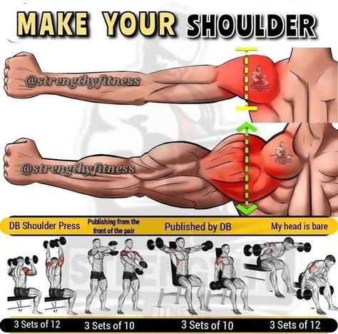 Bodyweight Workout Routine, Perut Six Pack, Gym Bro, Back And Shoulder Workout, Gym Workout Guide, Shoulders Workout, Trening Sztuk Walki, Bodybuilding Workouts Routines, Gym Exercises