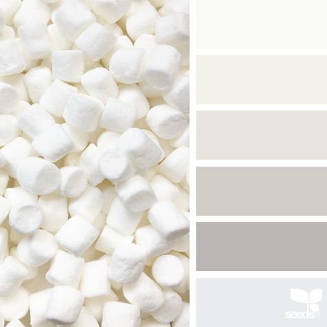 Marshmallow Tones | design seeds | Bloglovin’ Reggio Emilia, Design Seeds, Grey Paint Colors, White Paint Colors, Color Palate, Color Palette Design, Living Room White, Colour Pallete, Colour Board