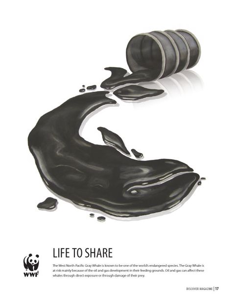 This WWF poster was created to advertise this concern using an illustration that would  best describe this problem. Description from aliciacairns.com. I searched for this on bing.com/images Wwf Poster, Environmental Posters, Polish Poster, Awareness Poster, Animal Conservation, Visual Metaphor, Environmental Friendly, Creative Ads, Save Earth