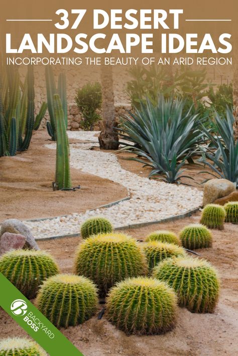 Desert landscaping is beautiful. When you live in an area where cactus thrive and high red rocks peak out in the distance, finding a way to incorporate that look into your front yard is right here in this list. These are the best desert landscaping ideas that are drought tolerant, simple, add curb appeal to your home, and modern in design. Xeriscaping is a fad everywhere, not just in desert climates. #desert #xeriscaping #landscaping #cactus #curbappeal #desertlandscaping #backyardboss Front Desert Landscaping Ideas, Front Yard Landscaping Design Arizona, Desert Front Yard Ideas, Drought Landscaping Front Yard, High Desert Landscape Design, Az Desert Landscaping Front Yard, Desert Landscaping Ideas Front Yard, Native Desert Landscaping, Desert Theme Landscaping