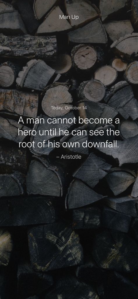 A man cannot become a hero until he can see the root of his own downfall. – Aristotle #iamsober Plato, Pain Of Discipline, Tough Times Dont Last, Sun Tzu, Napoleon Hill, Marcus Aurelius, Man Up, Cause And Effect, Tough Times