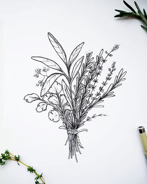 A little bouquet of my favourite herbs 🌿🖊 Croquis, Flowers Drawing Simple, Koch Tattoo, Herb Tattoo, Culinary Tattoos, Botanisches Tattoo, Herb Bouquet, Chef Tattoo, Simple Bouquet