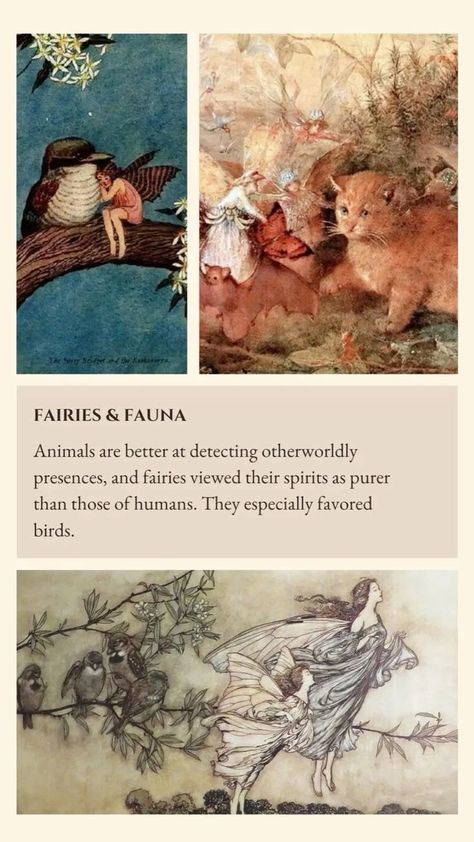 Fairy Lore #fairy #fae #anglosaxonmythology #mythology #folklore #lore #myths #fairys #magic #witches #wizards #english #scottish #welsh #irish #european #history #faemyths #nature #light #earth #earthmagic #mythicalcreatures Magic Limitations, Celtic Fairy Aesthetic, Irish Folklore Aesthetic, Ravens Reference, Fae Lore Tumblr, Faerie Folklore, Irish Mythology Creatures, Irish Mythical Creatures, Gaelic Phrases