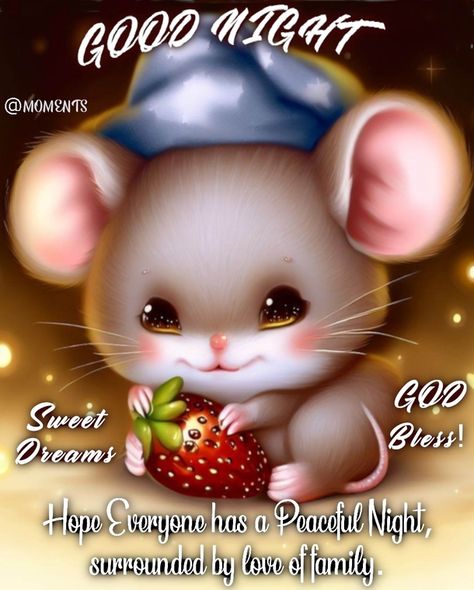 Sleep Tight: 10 Uplifting Good Night Sayings To Soothe Your Soul Good Night Sweet Dreams Sleep Tight, Good Night Sayings, Sweet Dreams Good Night, Sweet Dreams Sleep Tight, Beautiful Good Night Quotes, Good Night Funny, Cute Good Night, Good Morning Friends Quotes, Beautiful Art Pictures