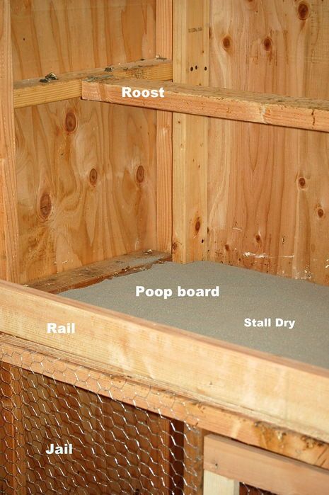 Pole Shed, Inside Chicken Coop, Chicken Pet, Chicken Perches, Chicken Roost, Small Chicken Coops, Chicken Coop Decor, Chicken Shed, Easy Chicken Coop