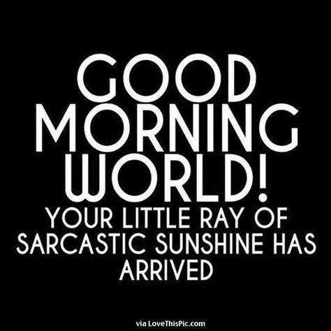 LoveThisPic offers Good Morning Your Sarcastic Ray Of Sunshine Has Arisen pictures, photos & images, to be used on Facebook, Tumblr, Pinterest, Twitter and other websites. Noom Coach, Funniest Quotes Ever, Fitness Band, Nutrition Science, When You, Sarcasm Quotes, Fitness Trackers, Good Morning World, Funny Quotes Sarcasm