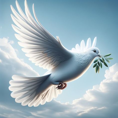 Let's Dig into White Pigeon Meaning - Birds E-Pedia Peace Pigeon, White Pigeon, Peace Bird, Learn Thai, Symbols Of Freedom, Noah S Ark, Different Cultures, Peace And Harmony, White Doves