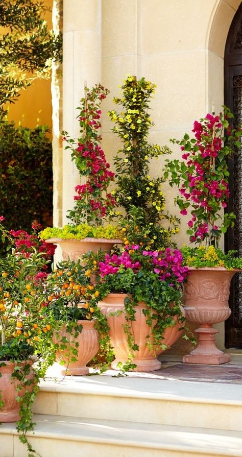 Echoes of ancient Mediterranean civilizations resonate in this stunning terra cotta pottery. Drawing on classic Italian designs, these garden planters call for noble placement on a sweeping veranda or in a quaint courtyard. | Frontgate: Live Beautifully Outdoors: Italian Garden Ideas, Ancient Mediterranean, Mediterranean Garden Design, Outdoor Vases, Terra Cotta Pottery, Tuscan Garden, Mediterranean Landscaping, Italian Garden, Mediterranean Garden