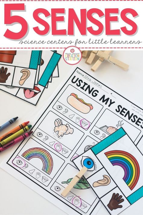 Centers don't have to be just math and literacy! Add these science centers to your rotation during your Five Senses unit! 5 Senses Activities, My Five Senses, Science Centers, Center Rotations, Kinesthetic Learning, Senses Activities, Mrs Jones, The Five Senses, Kindergarten Curriculum