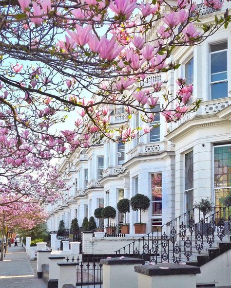 #nottinghill #royalboroughofkensington #kensington #chelsea #portobellomarket #westlondon #london #dreamhouse #realestate #properties #property Peisaj Urban, Instagram Places, Notting Hill London, London House, Voyage Europe, London Town, London Calling, London Street, London Life