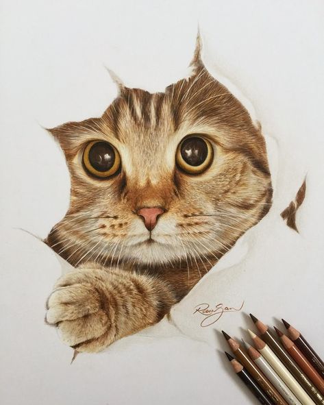 Design Stack: A Blog about Art, Design and Architecture: Realistic Color Pencil Animal Drawings Realistic Animal Drawings, Corak Bunga, Sweet Drawings, Colored Pencil Artwork, 3d Drawings, Color Pencil Drawing, Realistic Art, Color Pencil Art, Charcoal Drawing