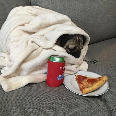 Me everyday #meme #comedy #funny #hilarious #me #literally #everyday #same #representation #dog #pug #blanket #wrapped #wrappedupinablanket #snuggle #drink #soda #tv #appletv #watchingtv #netflix #chill #chilling #chillin #lazy #eating #pizza #goal #goals #dream #sitting #layingdown #laying #lay #couch #spiritanimal #relatable Humour, Funny Animal, Pug Life, Funny Animal Pictures, Doug The Pug, Period Humor, Pugs Funny, Pug Love, Animal Memes