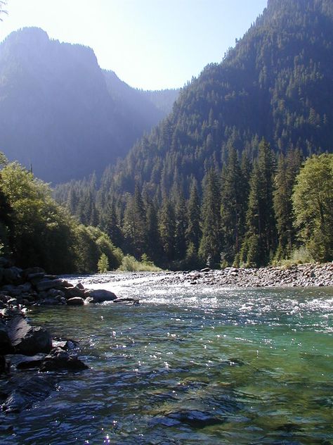 Snoqualmie River Halloween Wallpaper Iphone Backgrounds, Rivers And Roads, Washington State Parks, Places In Florida, Pretty Landscapes, Fantasy Forest, Nature Adventure, Summer Vibe, Nature Aesthetic