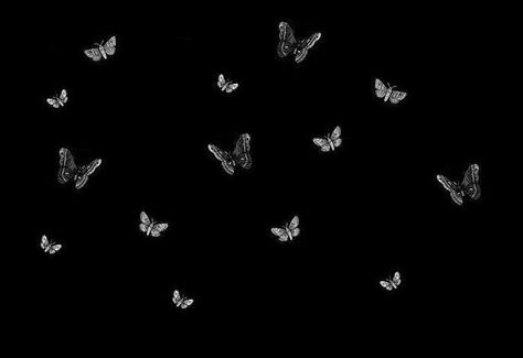 . Butterfly Pc Wallpaper Aesthetic, Butterflies Laptop Wallpaper, Black Butterfly Wallpaper Laptop, Black Wallpaper With Butterflies, Laptop Wallpaper Desktop Wallpapers Butterfly, 1440 X 900 Hd Wallpaper Aesthetic, Butterfly Wallpaper Aesthetic Laptop, Black Aesthetic Wallpaper For Ipad, Dark Asthetics Wallpers Laptop