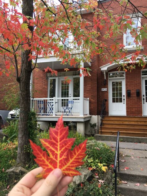 Montreal Fall, Fall In Canada, Montreal Aesthetic, Canada Autumn, Fall View, Canada Fall, Canada Photography, Frozen Lake, Fall Feels