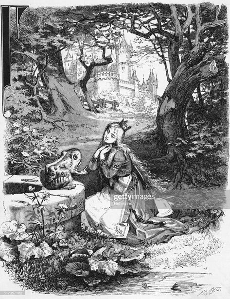 News Photo : Illustration from the Grimm Brothers "The Frog... Grimm Illustration, Grimm Brothers, Brothers Grimm Fairy Tales, The Grimm, The Frog Prince, Hybrid Art, Brothers Art, Fairy Tale Illustration, Fairy Dragon