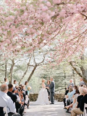 Georgia Wedding with Cherry Blossoms - Elizabeth Anne Designs: The Wedding Blog Blossom Tree Wedding, Canoe Wedding, Cherry Blossom Wedding Theme, Sakura Wedding, Cherry Blossom Wedding Invitations, Japan Wedding, Georgia Wedding Venues, Dream Wedding Decorations, Orchard Wedding