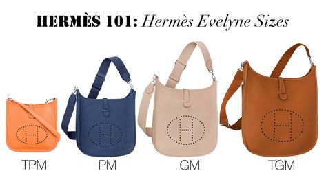 Our Hermes 101 class is back in session! Learn all about the Hermes Evelyne bag from features, sizes, to prices. Lots of comparison pictures included. Lv Handbags, Hermes Crossbody Bag, Hermes Evelyn Bag, Hermes Evelyn, Couture Cuir, Hermes Belt, Bag Obsession, Hermes Bag Birkin, Bags Designer Fashion