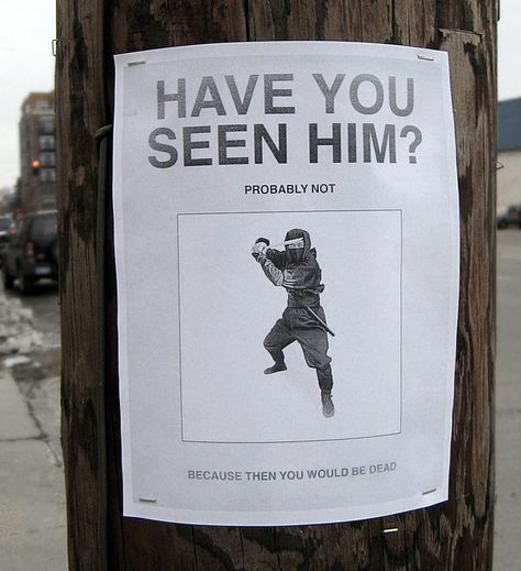 Missing ninja poster Funny Signs, Tumblr, Funny Street Signs, Missing Posters, Pole Sign, Clean Humor, Guy Pictures, Lost & Found, Street Signs