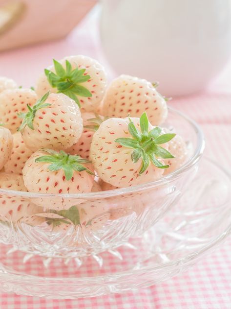 Low Calorie Breakfast, Types Of Strawberries, Eating Oysters, Strawberry Delight, White Strawberry, Low Calorie Dessert, Bowl Food, Snacks To Make, Low Calorie Snacks
