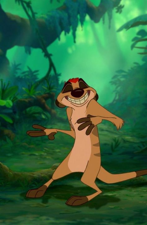 *TIMON ~ The Lion King, Timon The Lion King, Timon Lion King, The Lion King Timon, Nathan Lane, Disney Sidekicks, Lion King Timon, هاكونا ماتاتا, The Lion King 1994, Il Re Leone