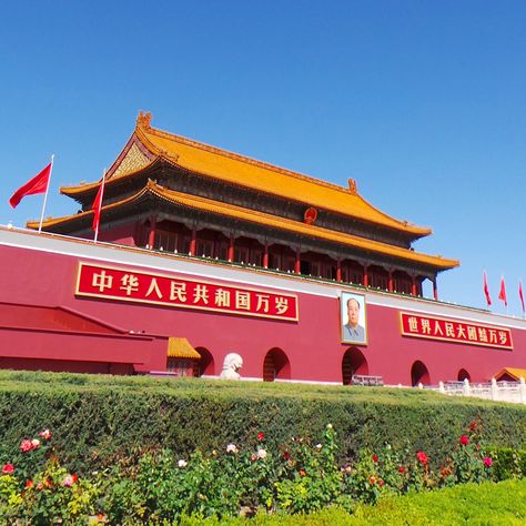 Tiananmen Square & Forbidden City in China.  #beijing #tiananmen #tiananmensquare #hiking #forbiddencity #landmark #photography #hikingadventures #city #wonderoftheworld #china #travel #asia #STAtravel #mountains #DragonTrip #Holiday #wonderlust #visitchina #traditional #worldtravel #history Beijing Forbidden City, Landmark Photography, Traveling Woman, Tiananmen Square, China Trip, China Beijing, Visit China, Forbidden City, Travel Asia