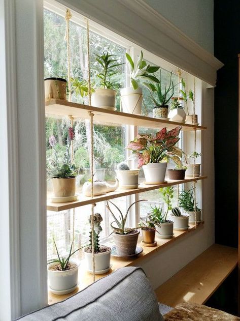 If you're looking for plant room ideas to liven up your living space, look no further - you've come to the right place. Plants Shelf, Dekorasi Bohemia, Koti Diy, Tanaman Indoor, Plants Diy, Shelf Diy, نباتات منزلية, Window Plants, Window Shelves