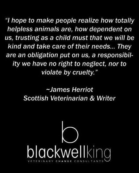 quote by veterinarian James Herriot - author of All Creatures Great and Small James Herriot Quotes, Neglect Quotes, Vet Tech Humor, All Animals Are Equal, James Herriot, Vegan Quotes, Pet Vet, Vegan Inspiration, People Of Interest