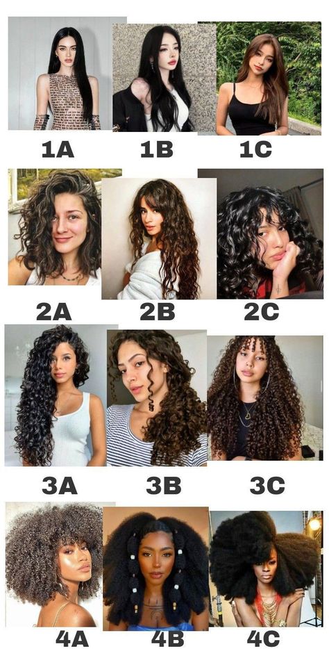 hair types hair types chart texture hair types chart hair types men hair types drawing hair types black women hair types curly natural hair types Hair Type Chart, Curly Hairstyle Ideas, Curly Hair Care Routine, Curly Hair Types, Hairdos For Curly Hair, Curly Hair Inspiration, Curly Hair With Bangs, Types Of Curls, Hair Stylist Life