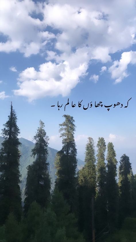 One Line Quotes In Urdu, One Line Poetry, Golden Words In Urdu, John Elia Poetry, Inspirational Quotes In Urdu, Golden Words, One Line Quotes, Love Quotes In Urdu, Poetry Photos