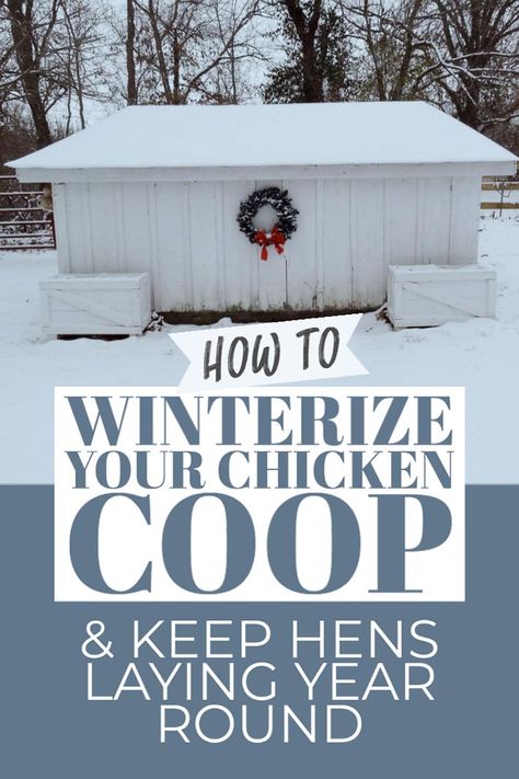 How To Winterize Small Chicken Coop, How To Keep Chickens Laying In Winter, Winterizing Small Chicken Coop, Keeping Chickens In Winter, Diy Chicken Coop For Winter, Diy Chicken Coop Ideas For Winter, 4 Season Chicken Coop, Weatherproof Chicken Coop, Chicken Coops For Winter