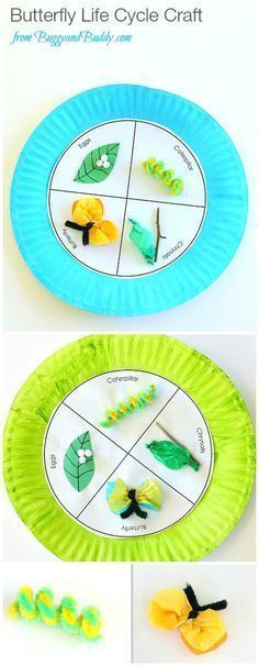 Paper Plate Butterfly Life Cycle Craft for Kids (with FREE printable template)- Fun spring and science activity for kids! Paper Plate Butterfly, Butterfly Life Cycle Craft, Plate Crafts For Kids, Science Art Projects, Life Cycle Craft, Butterflies Activities, Paper Plate Crafts For Kids, Science Crafts, Butterfly Life Cycle