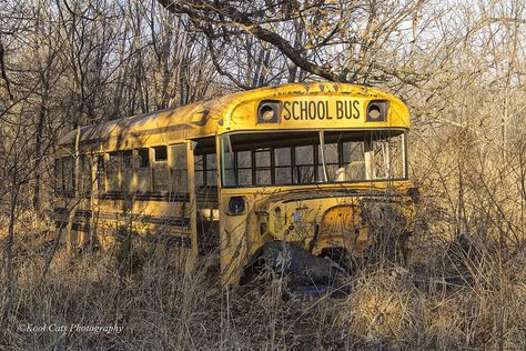 Ghost Towns, Abandoned School Bus, Abandoned School, Old School Bus, Forgotten Places, Abandoned Cars, School Bus, Abandoned Places, Beautiful Photos