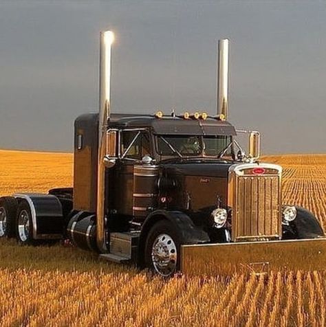 Peterbilt 359 For Sale, Custom Big Rig, Peterbilt 359, American Trucks, Custom Big Rigs, Western Star, Show Trucks, Truck Drivers, Peterbilt Trucks