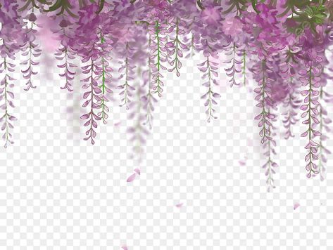 Flowers Png Transparent, Wisteria Flower, Leaf Png, Purple Wedding Decorations, Wisteria Flowers, Pink Flowers Background, Green Leaf Background, Purple Wisteria, Purple Wreath