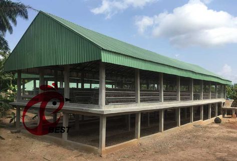 Poultry Cage Ideas, Chicken Layer House Design, Poultry Farm Design Ideas, Chicken Poultry Farm Design, Simple Poultry House Design, Chicken Cage Ideas Design, Broiler Chicken House Design, Goat Farm Design, Poultry Farm Design Layout