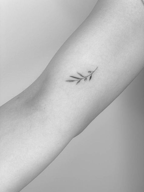 Olive Laurel Tattoo, Minimal Branch Tattoo, Olive Branch Tattoo For Women, Small Olive Tree Tattoo, Lilly Tattoo Minimalist, One Line Olive Branch Tattoo, Cross And Olive Branch Tattoo, Greece Tattoos Small, Black And White Olive Branch Tattoo