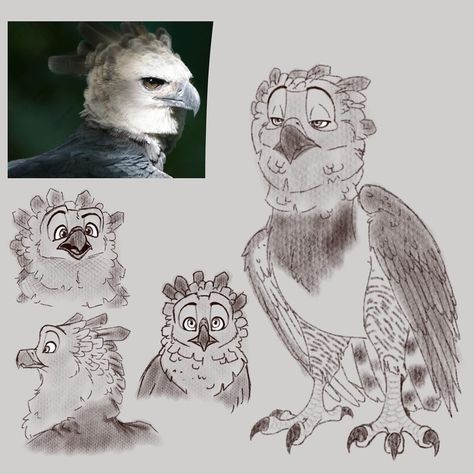 Harpy Reference Drawing, Harpy Drawing Reference, Harpy Eagle Illustration, Harpy Eagle Character Design, Harpy Eagle Art, Harpy Eagle Wings, Harpy Eagle Drawing, Bird Head Drawing, Eagle Character Design