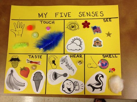 five senses ideas for preschool | 5 Senses Preschool Craft 5 Senses Craft Kindergarten, 5 Sense Crafts For Preschoolers, My Amazing Body Preschool Crafts, Manners And Feelings Preschool Crafts, 5 Senses Project, Five Senses Crafts For Kindergarten, 5 Senses Crafts Preschool Art, Happy Healthy Me Preschool, 5 Senses Centers Preschool